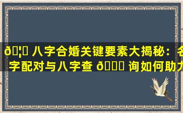 🦆 八字合婚关键要素大揭秘：名字配对与八字查 🐎 询如何助力良缘